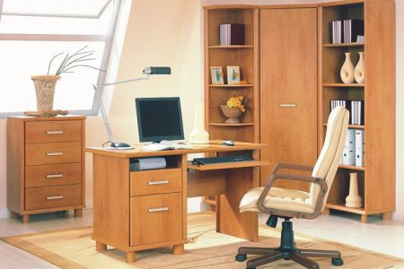 7 идей мебели для хранения документов в интерьере офиса
