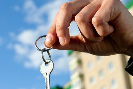 Как эффективно искать различные объявления о покупке и аренде недвижимости
