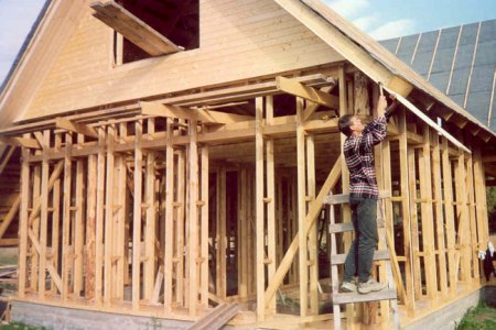 Каркасные дома - панацея для строительства недорого жилья?